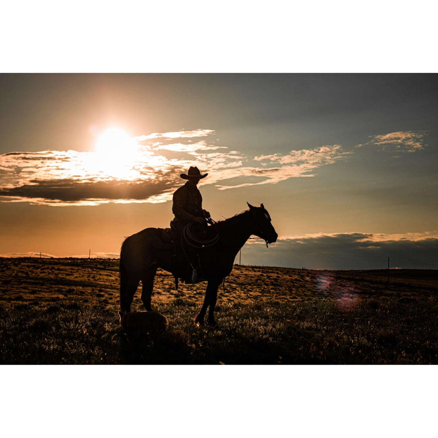 American Cowboy