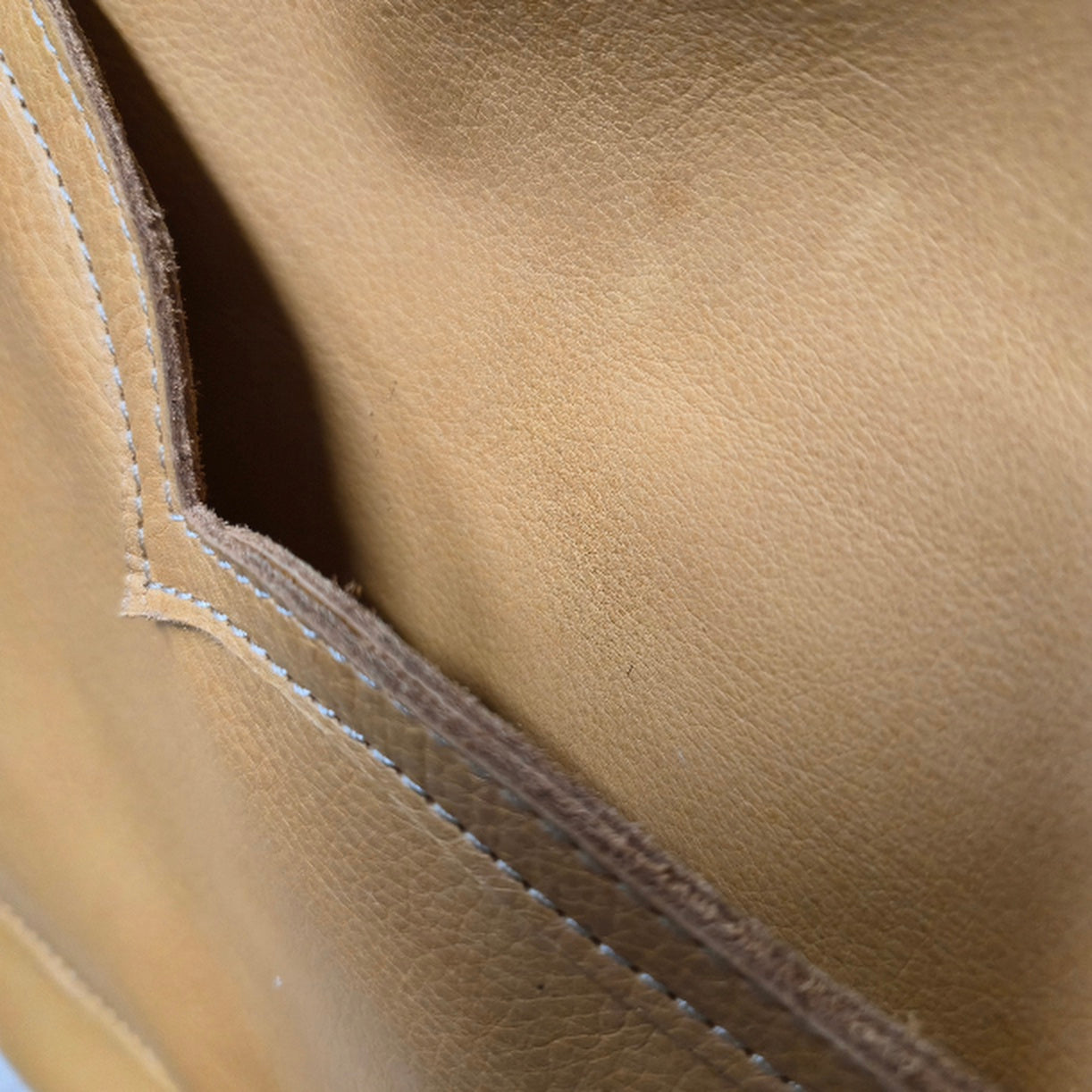 Vintage Tony Lama Boot Bag